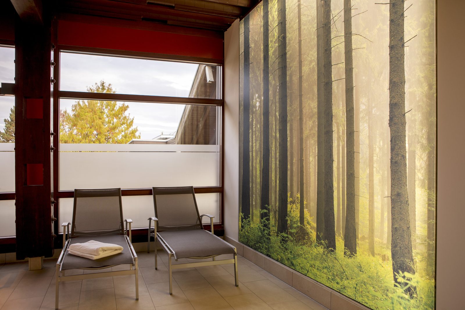 Ruheraum der AlbTherme Waldbronn mit hinterleuchteter Waldwand