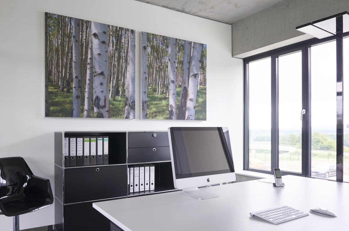 Büro mit zwei Akustikbildern mit Birkenmotiv über dem Schreibtisch