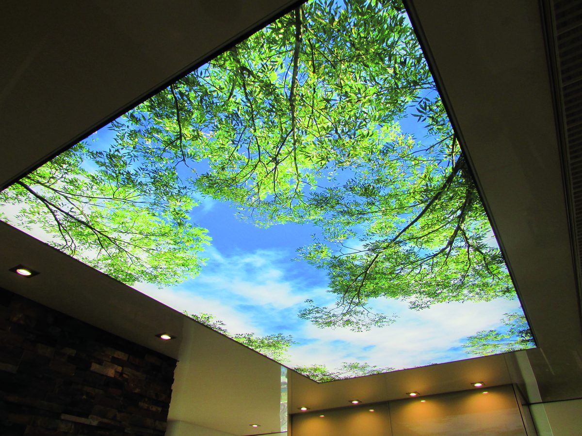 Bedruckte Lichtdecke mit Blätterdach und blauem Himmel in einem Bad